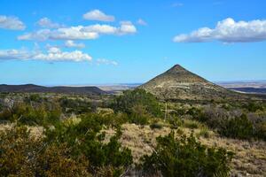 Agave, yucca, cacti and desert plants in a mountain valley landscape in New Mexico, photo