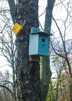 Bird house -birdhouse- on an old tree in the forest in the suburbs of New Jersey, USA photo