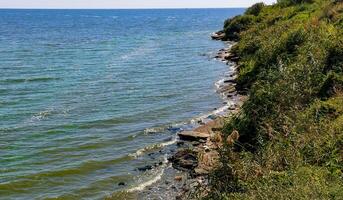 Blue-green algae bloom in the Dnieper-Bug estuary, eutrophication of water, Ukraine photo