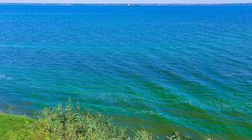 Blue-green algae bloom in the Dnieper-Bug estuary, eutrophication of water, Ukraine photo
