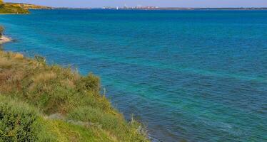 Blue-green algae bloom in the Dnieper-Bug estuary, eutrophication of water, Ukraine photo