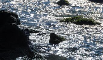 Bright reflections on the water on a sunny day among the coastal rocks near the Black Sea coast photo
