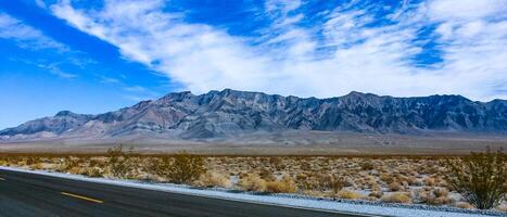 California desert landscape, cacti and other desert plants in rock desert in the foothills, California photo