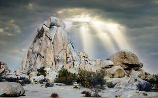 Desert stone landscape Joshua Tree, Big Rocks and Yucca Brevifolia Mojave Desert, Joshua Tree National Park, California photo
