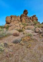 Yucca and Cacti in a Red Cliffs Mountain Landscape in California, USA photo