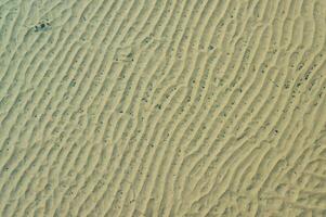 The bottom of the drying dead sea Kuyalnik estuary, Odea region photo