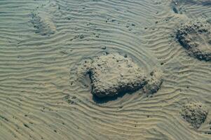 The bottom of the drying dead sea Kuyalnik estuary, Odea region photo