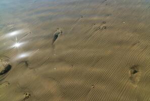 The bottom of the drying dead sea Kuyalnik estuary, Odea region photo