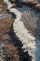Winding strip of Ice on the shore of the Tiligul Estuary, storm emissions of algae and mollusks, Ukraine photo