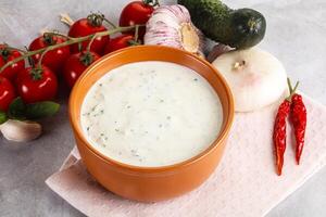 Traditional delicious appetizer greek tzatziki photo