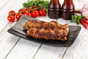 Chicken kebab minced meat and spices photo