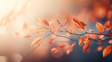 Orange Tree branch adorned with leaves on bokeh lights and blurred nature background photo