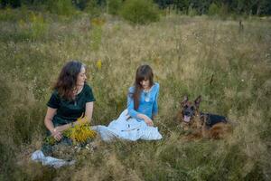 two woman in a whimsical aesthetic style dress with a german shepherd in a field in the summer at sunset photo