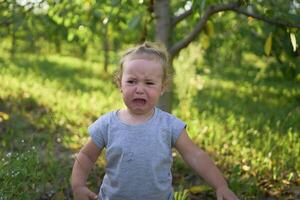 toddler screams and cries in front of family on picnic in garden photo