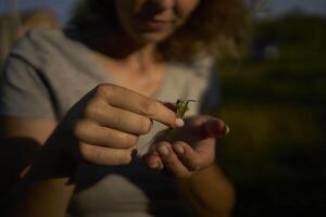 a woman holds a large grasshopper on her hand photo