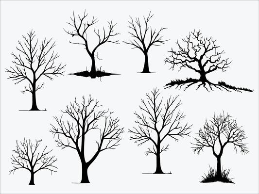 A set of silhouettes of bare trees