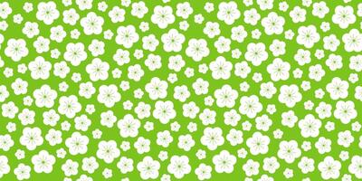 white simple flowers of cherry, apple tree on a green background. seamless pattern for background on the theme of summer, flower meadow, print on fabric, wrapping paper, packaging design vector