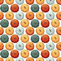 Seamless pattern with colourful pumpkins, top view. fall ornament, autumn harvest vector