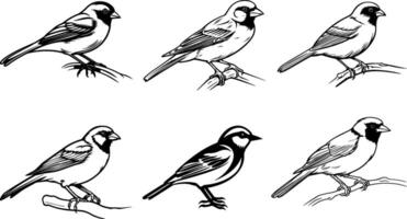 set of silhouettes of bird's block color silhouette image icon vector