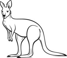 kangaroo line art illustration block color on white background vector