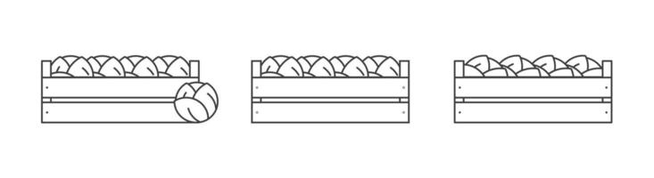 kale in a wooden box icons outline. Vegetables in a wooden box line icon. Isolated in white. cabbage in wooden box vector