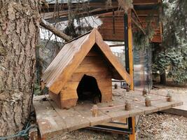house in the forest for animals and birds. Wooden bird house in the summer park. on an tree stump. Old wooden feeder for birds on a tree, empty bird's feeder caring about wild birds in cold season. photo
