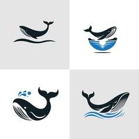 set of Whale vector
