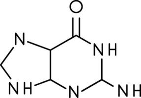 Guanine Line Icon vector