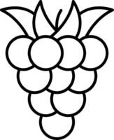 Raspberry Line Icon vector