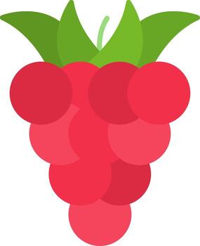 Raspberry Flat Icon vector