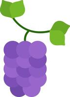 Mulberry Flat Icon vector