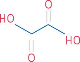 Oxalic Acid Flat Icon vector