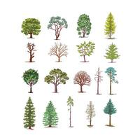 Large set of various deciduous bushes and trees. color illustration vector