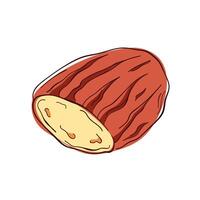 Round loaf of bread, featuring a rustic, artisanal appearance with distinct, textured crust lines. Sliced bread in line art style. Bakery loaf. illustration isolated on a white background. vector
