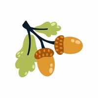 Two acorns on branch. element of decor of autumn postcard. vector