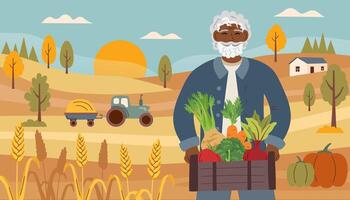Harvest festival banner. Happy harvest poster. Autumn, harvest and Thanksgiving concept. Man with box of vegetables in the background of the field. vector