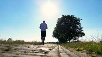 a person walking on a path through a forest video