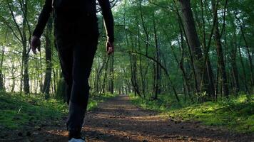 a person walking on a path through a forest video