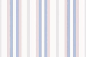 Vertical lines stripe background. stripes pattern seamless fabric texture. Geometric striped line abstract design. vector