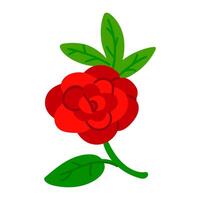A beautiful red Mexican zinnia flower highlighted on a white background. A large bud and an inflorescence on a stem with green leaves. Botanical flat illustration in bright colors isolated vector