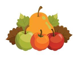 Colorful Fall Fruits Collection Illustration Apples Pears and Leaves vector
