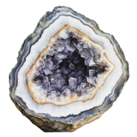 Amethyst geode with quartz crystals on display png