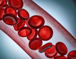 Crimson Caravan A Journey Through the Arteries photo