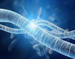 Microscopic Journey A Glimpse into the Vascular System photo
