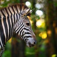 Stunning Close-Up of Zebra in Natural Habitat photo