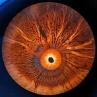 retinal scan capturing the intricate structure photo