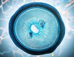 Microscopic Cell Nucleus Glowing Genetic Structure photo