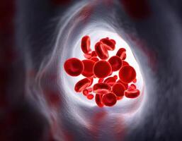 Crimson Caravan A Journey Through the Arteries photo