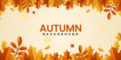 Autumn Leaves Border isolated fall leaves with copy space background. Fall foliage frame for text vector