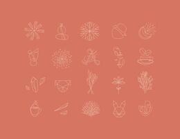 Set of modern natural signs drawing in minimalism line style to create your own design vector